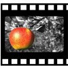 PhotoFiltre 6.5.3